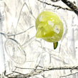 Load image into Gallery viewer, Margarita Cocktail Tree Ornament