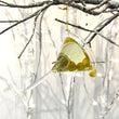Load image into Gallery viewer, Classic Martini Cocktail Tree Ornament