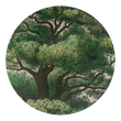 Load image into Gallery viewer, Trees Plate by John Derian