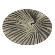 Load image into Gallery viewer, Nautilus Platter by John Derian