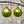 Load image into Gallery viewer, Chestnut Tree Bauble Pair

