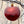 Load image into Gallery viewer, Apple Half Tree Bauble
