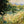 Load image into Gallery viewer, Laurie Lee&#39;s Cottage, Slad
