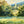 Load image into Gallery viewer, The Cotswold Way, Broadway
