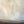 Load image into Gallery viewer, Gathering Light
