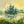 Load image into Gallery viewer, Sunset, Blenheim Lake

