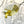 Load image into Gallery viewer, Classic Martini Cocktail Tree Ornament
