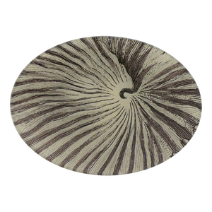 Nautilus Platter by John Derian