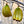 Load image into Gallery viewer, Banana Bunch Tree Bauble Duo

