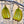Load image into Gallery viewer, Banana Bunch Tree Bauble Duo
